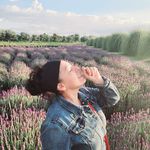 Profile Picture of ana laura sequeira (@analaura.sequeira) on Instagram