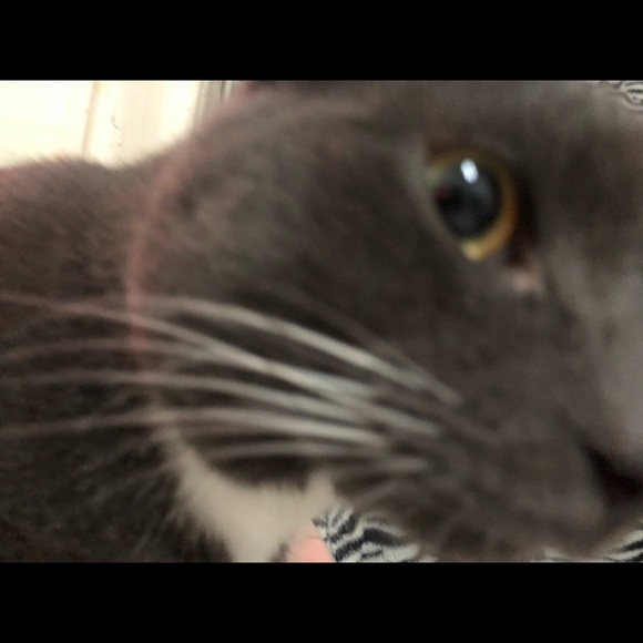 Profile Picture of Melanie Saula (@melanieluvs_) on Poshmark