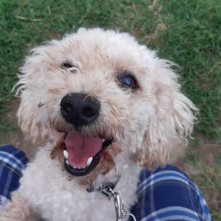 Profile Picture of Adrian Cortes (@Adrian-Cortes) on Facebook