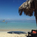 Profile Picture of Tami Faulkner☀️ (@tamifaulkner) on Instagram