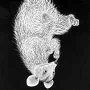 Profile Picture of Albert Maniscalco (@synaesthesia42) on Pinterest