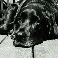Profile Picture of Cory Fowler (@cory-fowler-4) on Quora