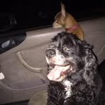 Profile Picture of Bismarck Vallecillo (@Bismarck-Vallecillo) on Facebook