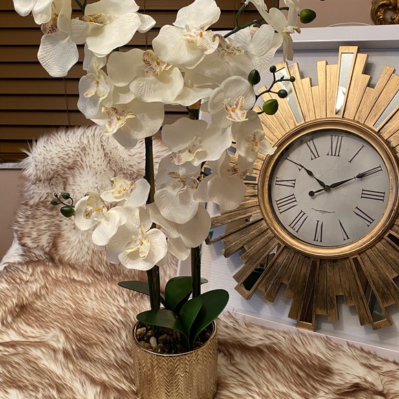 Profile Picture of Malak Malak (@malaklak) on Poshmark