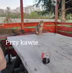 Profile Picture of Adam Krupiński (@Adam-Krupiński) on Facebook