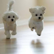 Profile Picture of Lisa Fletcher (@demouse78) on Youtube