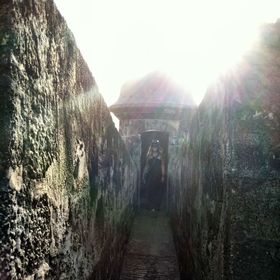 Profile Picture of Danielle Lavin (@drae33) on Pinterest