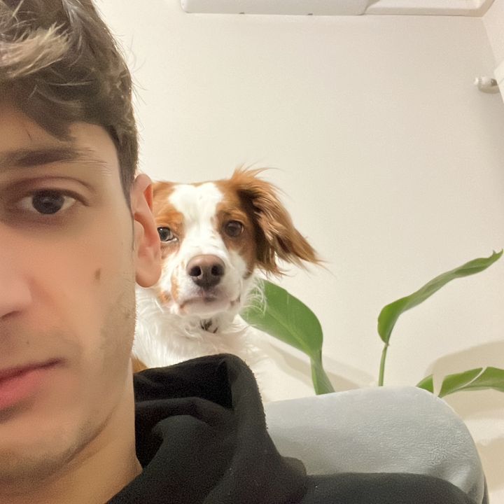 Profile Picture of Fabio Fanelli (@fabiofanelli0) on Tiktok