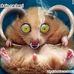 Profile Picture of Grzegorz Płotka (@Grzegorz-Płotka) on Facebook