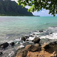 Profile Picture of Shannon Sherlock (@shannon-sherlock) on Quora