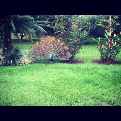 Profile Picture of Wade Cochran (@dimpleddolph27) on Twitter