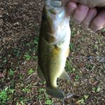 Profile Picture of Tobey_Jackson (@tobey_jackson_rulz) on Instagram