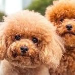 Profile Picture of Janet Allday (@Janet-Allday) on Facebook