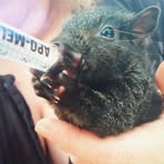 Profile Picture of Hazel Sayers (@hazel.sayers.585) on Facebook