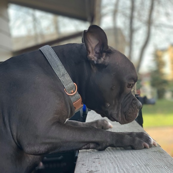 Profile Picture of Jason Asuncion (@javi2386) on Poshmark