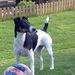 Profile Picture of Sonja Strecker (@sonjastrecker) on Pinterest