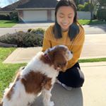 Profile Picture of Julia Cheng (@julia_cheng) on Instagram