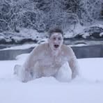 Profile Picture of Ian Matchett (@ian.matchett.35) on Facebook