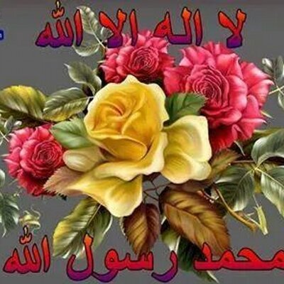 Profile Picture of Hamdi Ali (@hamdiali396) on Twitter