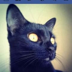 Profile Picture of Mario Ramon Rosado (@ignist92) on Twitter