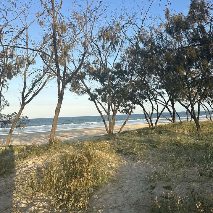 Profile Picture of michael (@michael_collin.s) on Tiktok