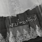 Profile Picture of Amal Elgamal (@amal.elgamal.176619) on Facebook