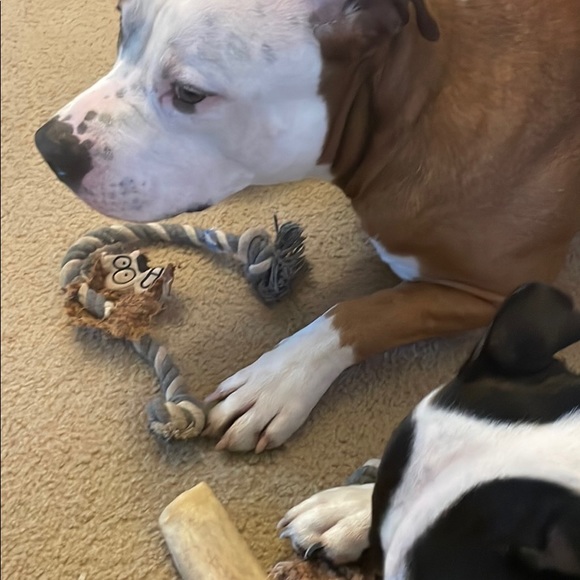 Profile Picture of Edward Casey (@caseyedward71) on Poshmark