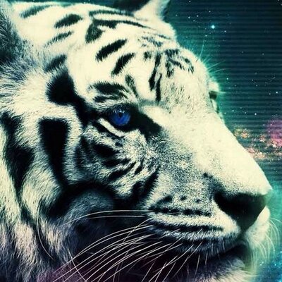 Julia - Twitter Profile Picture of Julia (@VoglerJulia) on Twitter