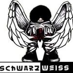 Profile Picture of David SchwarzWeiss (@david.schwarzweiss) on Instagram