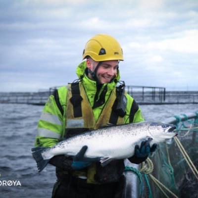 Profile Picture of Benjamin Lein Fuglår (@benjaminlein) on Twitter