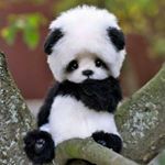 Profile Picture of david (@david_sergio_99) on Instagram