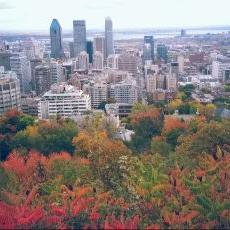 Profile Picture of Karl Mel (@KarlMelKarlMel) on Twitter