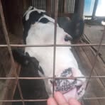 Profile Picture of Robert Serem (@robert.serem.56) on Facebook