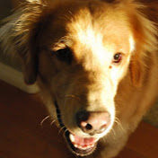 Profile Picture of Jeremy-Jenny Birch (@theBirchKids) on Youtube