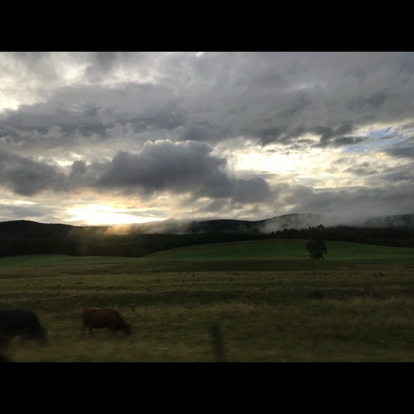 Profile Picture of Chassitty Stump (@chassitty_stump) on Poshmark