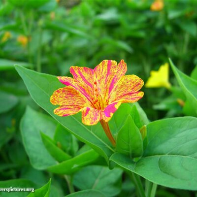 Profile Picture of Mistyhamlin (@mistyhamlin) on Twitter