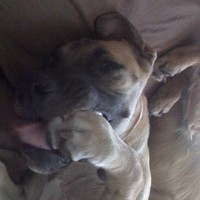Profile Picture of Steve Knowles (@steve-knowles-7) on Quora