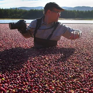 Profile Picture of Kelly James (@kellyjamesphoto) on Instagram