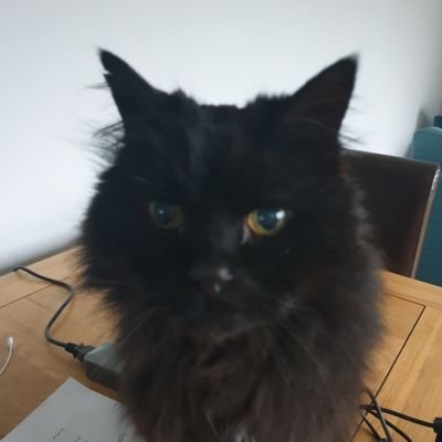 Stephanie Chapman - Twitter Profile Picture of Stephanie Chapman (@StephanieChapm9) on Twitter