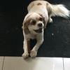 Profile Picture of sean stewart (@@seanstewart28) on Tiktok