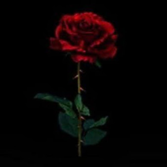 Profile Picture of Quinn Hartsfield (@hartsfieldquinn) on Poshmark