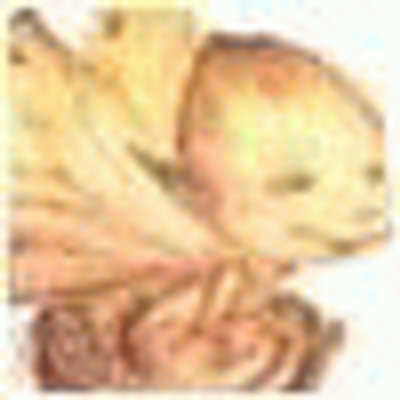 Profile Picture of Carol Mohr (@katredfa) on Twitter