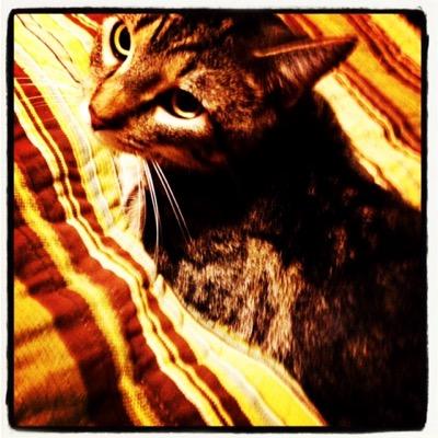 McKenna Leanne Colby - Twitter Profile Picture of McKenna Leanne Colby (@MckennaLeanneC) on Twitter