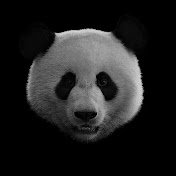 Profile Picture of Jason Meng (@jasonmeng1230) on Youtube