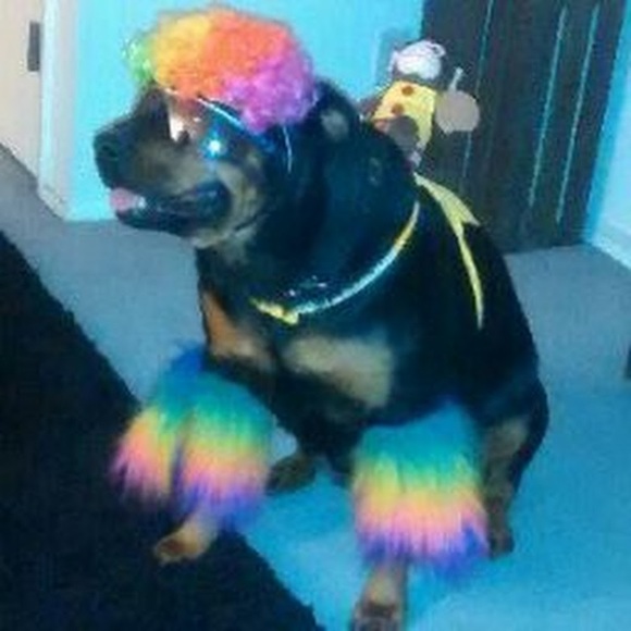 Profile Picture of James Gamble (@taz61766) on Poshmark