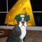 Profile Picture of Dennis Andrew (@dennis.andrew.716) on Facebook