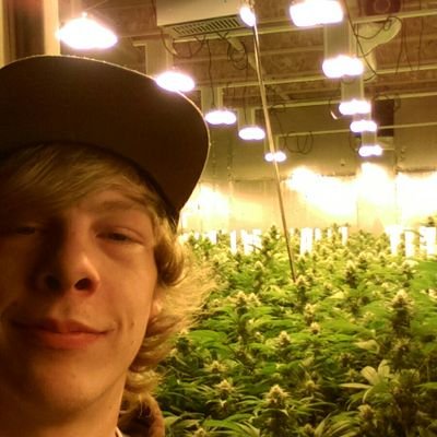 Profile Picture of Michael Hambleton (@Larryload) on Twitter