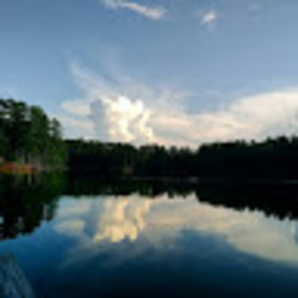 Profile Picture of Cindy Kennedy (@cindykennedy304) on Poshmark