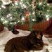 Profile Picture of Tricha Leary (@crystal.albright.902) on Facebook
