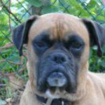 Profile Picture of Steven Lecompte (@stevenlecompte) on Instagram